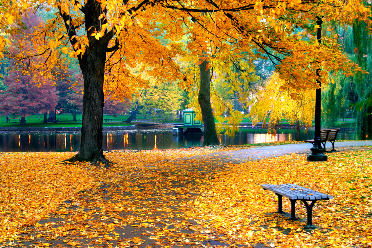 Massachusetts_Boston_Park_iStock_000002661213Large
