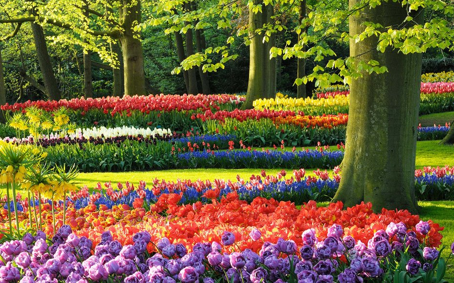 Keukenhof Gardens, Lisse, Holland, Netherlands, Europe